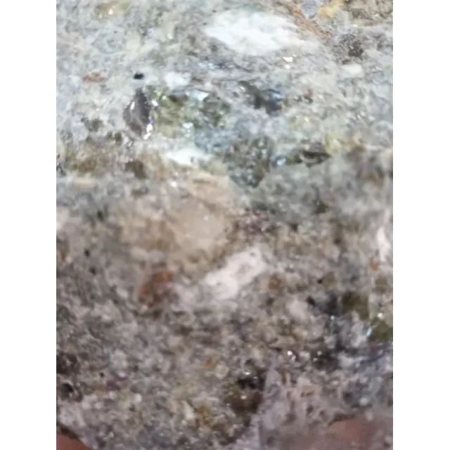 Cavi / Asilbent (benjoin Official)