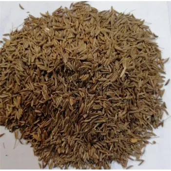 Kimyon Frenk Om25-758