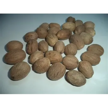 Muskat-hint Cevizi 500 GR