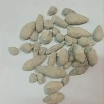 Beni İsrail Zeytini-hacer-el Yahudi