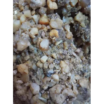 Çadır Uşağı Sakızı