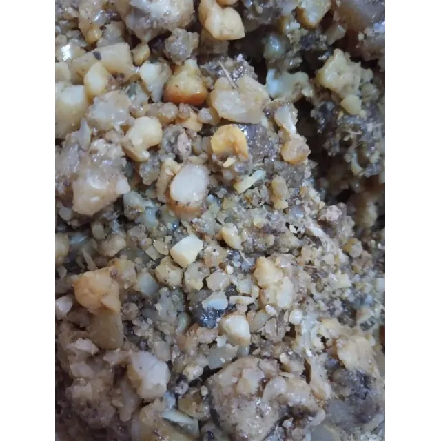 Çadır Uşağı Sakızı