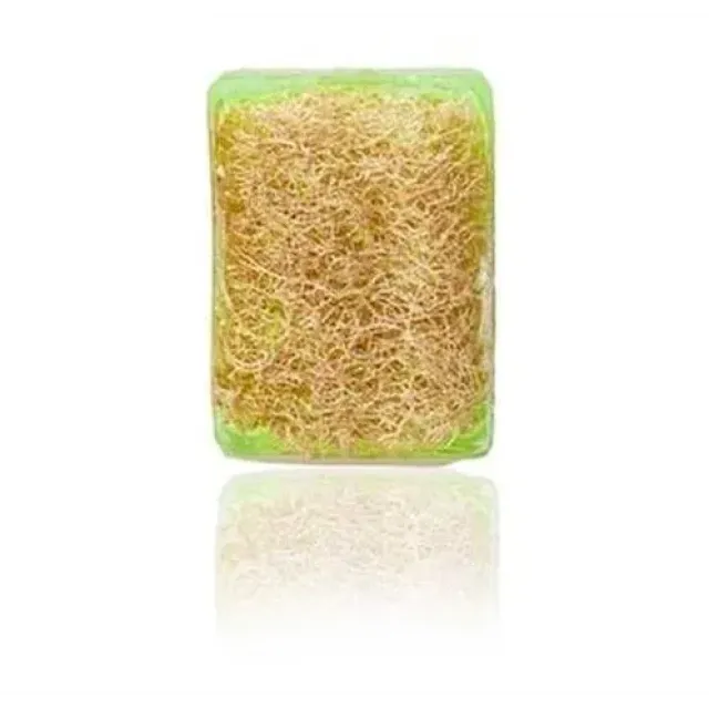 Kabak Lifli Aloe Vera Sabunu