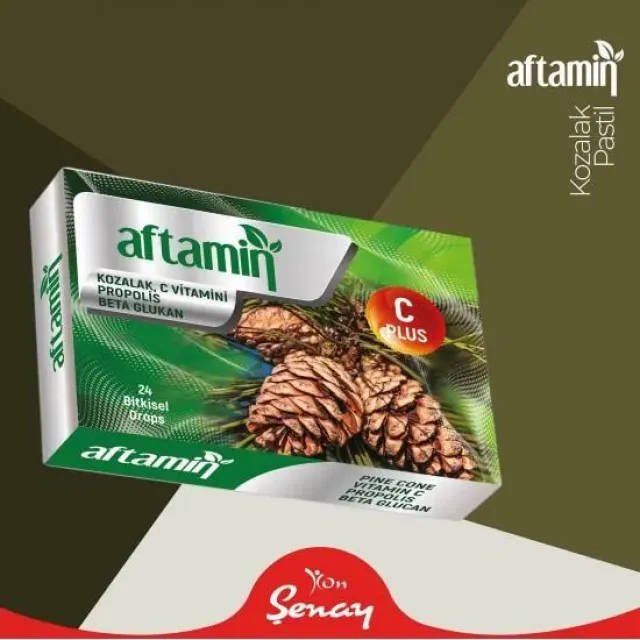 Aftamin Pastil Kozalak C Propolis 24 Ad.