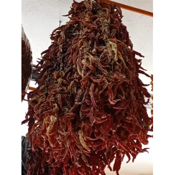 Kuru Biber Kızartmalık Tatlı 20 Li