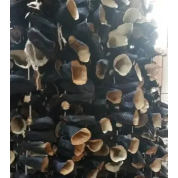 Kuru Patlıcan Dolm Dip-sap 20 Li