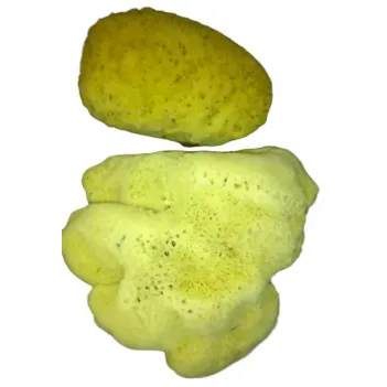 Deniz Süngeri Sarı Kilo