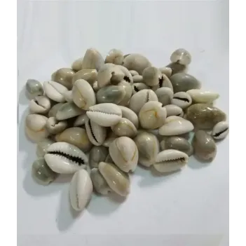 Sübyan Boncuğu-yılan Başı-deve Boncuğu