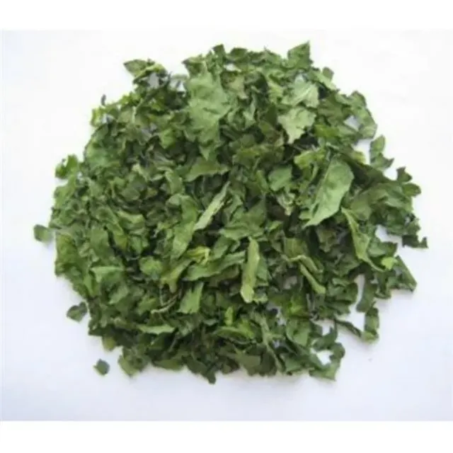 Ispanak Kurusu Granül