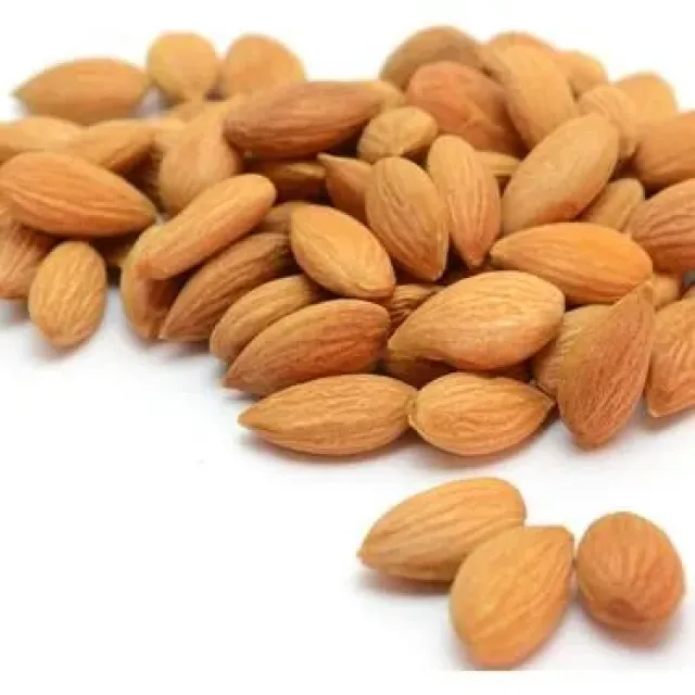 Kayısı Çekirdeği