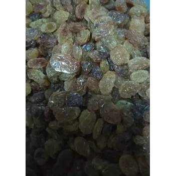 Üzüm Sultaniye  Pırlanta