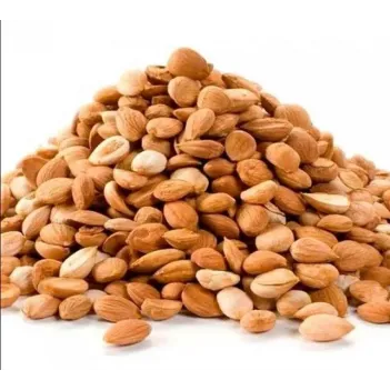 Acı Kayısı Çekirdeği