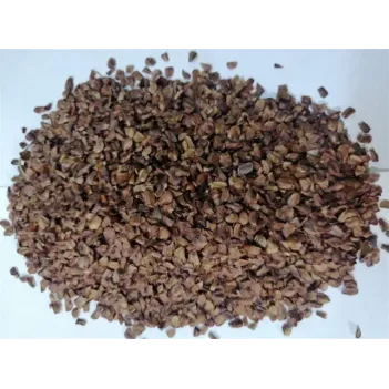 Selvi Kozalak Tohumu