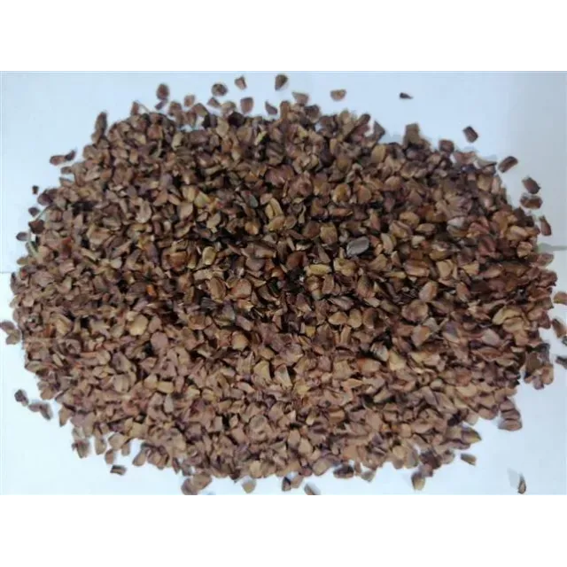 Selvi Kozalak Tohumu