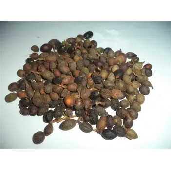 Defne Tohumu (tenel Toh.) 500 GR