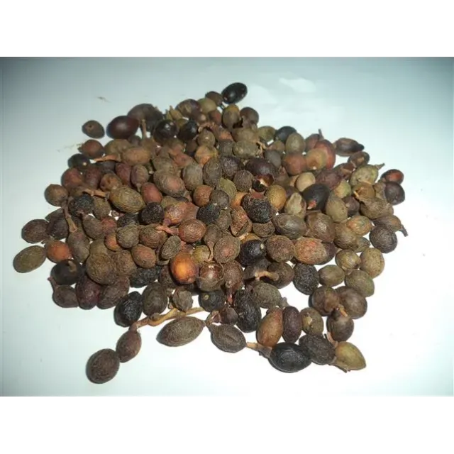 Defne Tohumu (tenel Toh.)