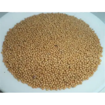 Hardal Tohumu Sarı 500 GR