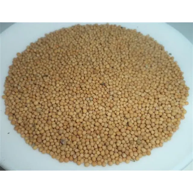 Hardal Tohumu Sarı 500 GR