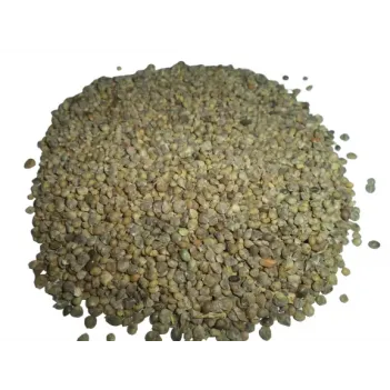 Ispanak Tohumu Matador