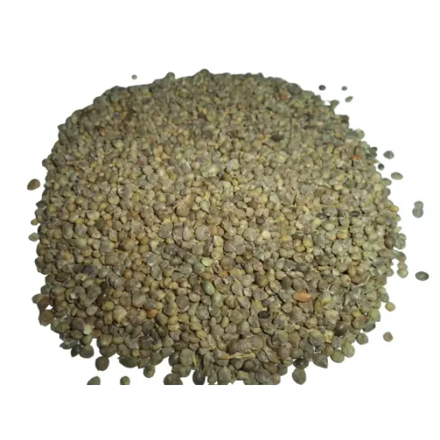 Ispanak Tohumu Matador