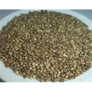 Kenevir Tohumu-kendir-çedene