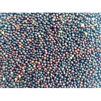 Şalgam Tohumu 500 GR