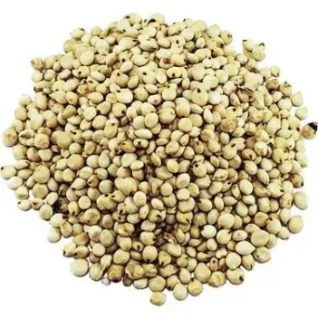 Sorgum Tohumu-cin Elması 500 GR