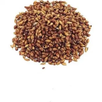 Süpürge Otu Tohumu 500 GR