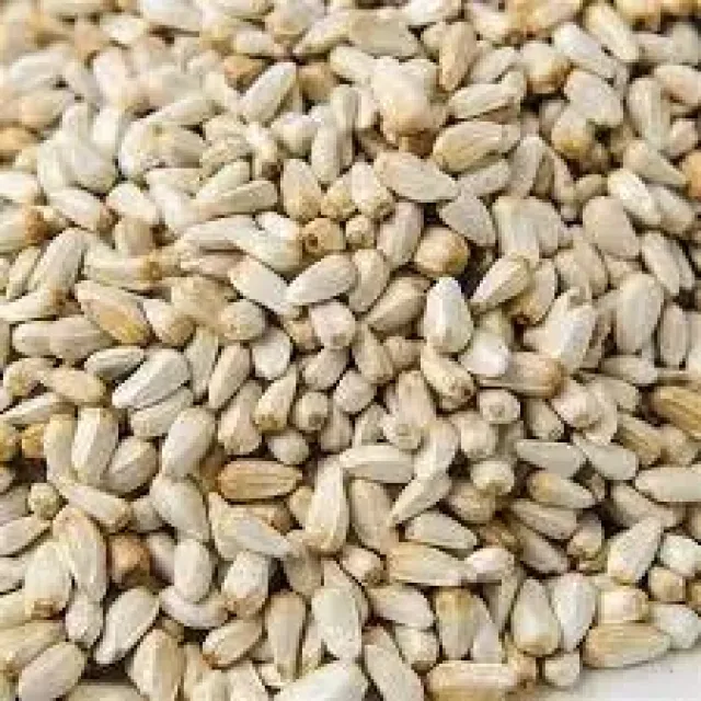 Haspir Tohumu-aspir Dikeni Tohumu 250 GR