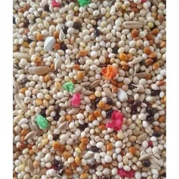 Kuş Yemi Renkli-muhabbet Karma Meyveli