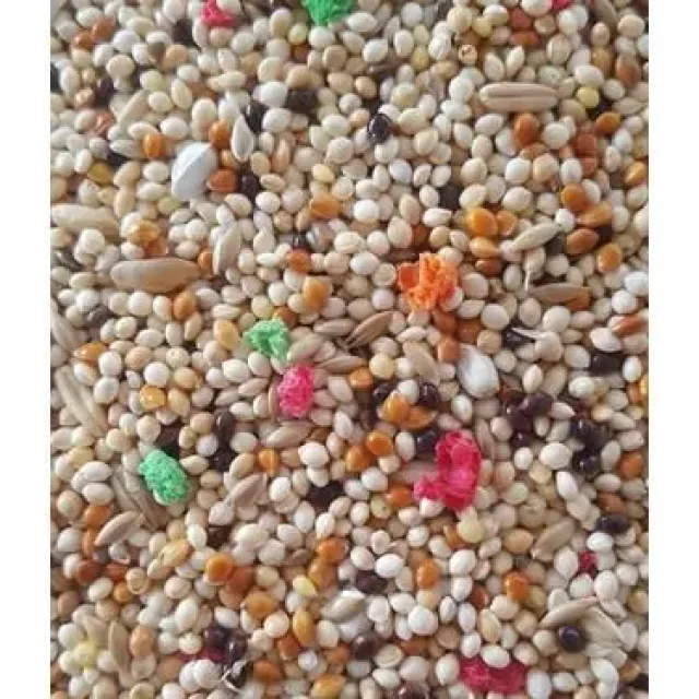 Kuş Yemi Renkli-muhabbet Karma Meyveli