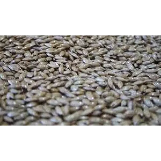 Kuş Yemi İnce(sivri)