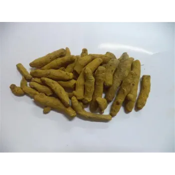 Zerdeçal Tane Hindistan