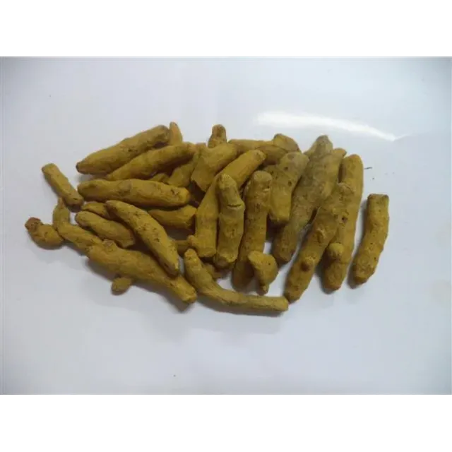 Zerdeçal Tane Hindistan