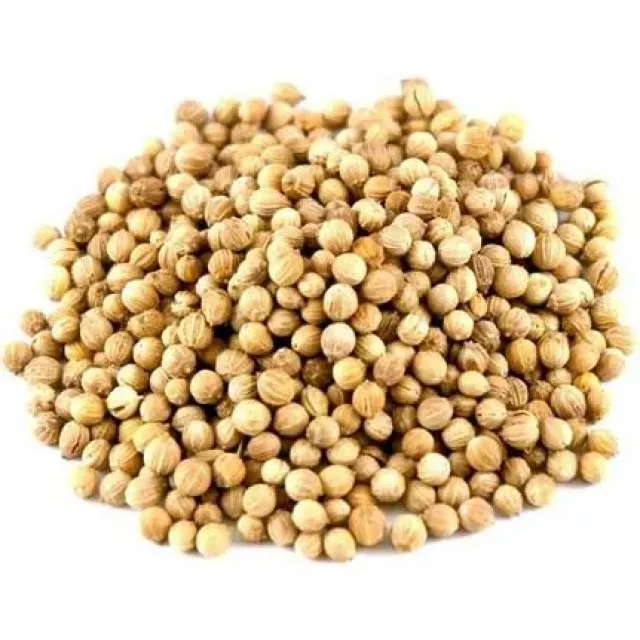 Kişniş Tane %1,5 Analiz İthal İri 100 GR