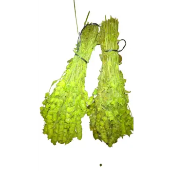 Adaçayı Demet Milas