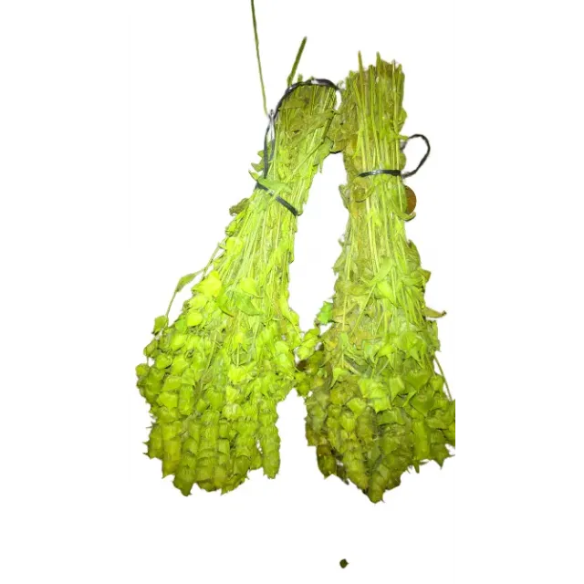 Adaçayı Demet Milas