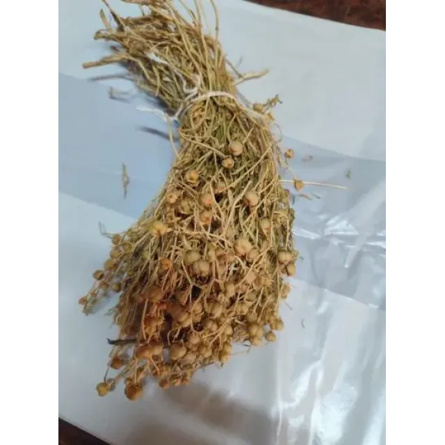 Üzerlik Otu Yakmalık Eski Mahsül Sarı Demet